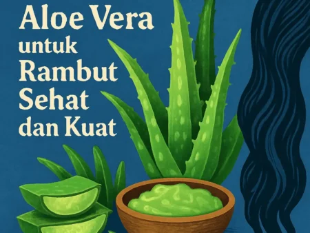 Manfaat Aloe Vera untuk Rambut Sehat dan Kuat